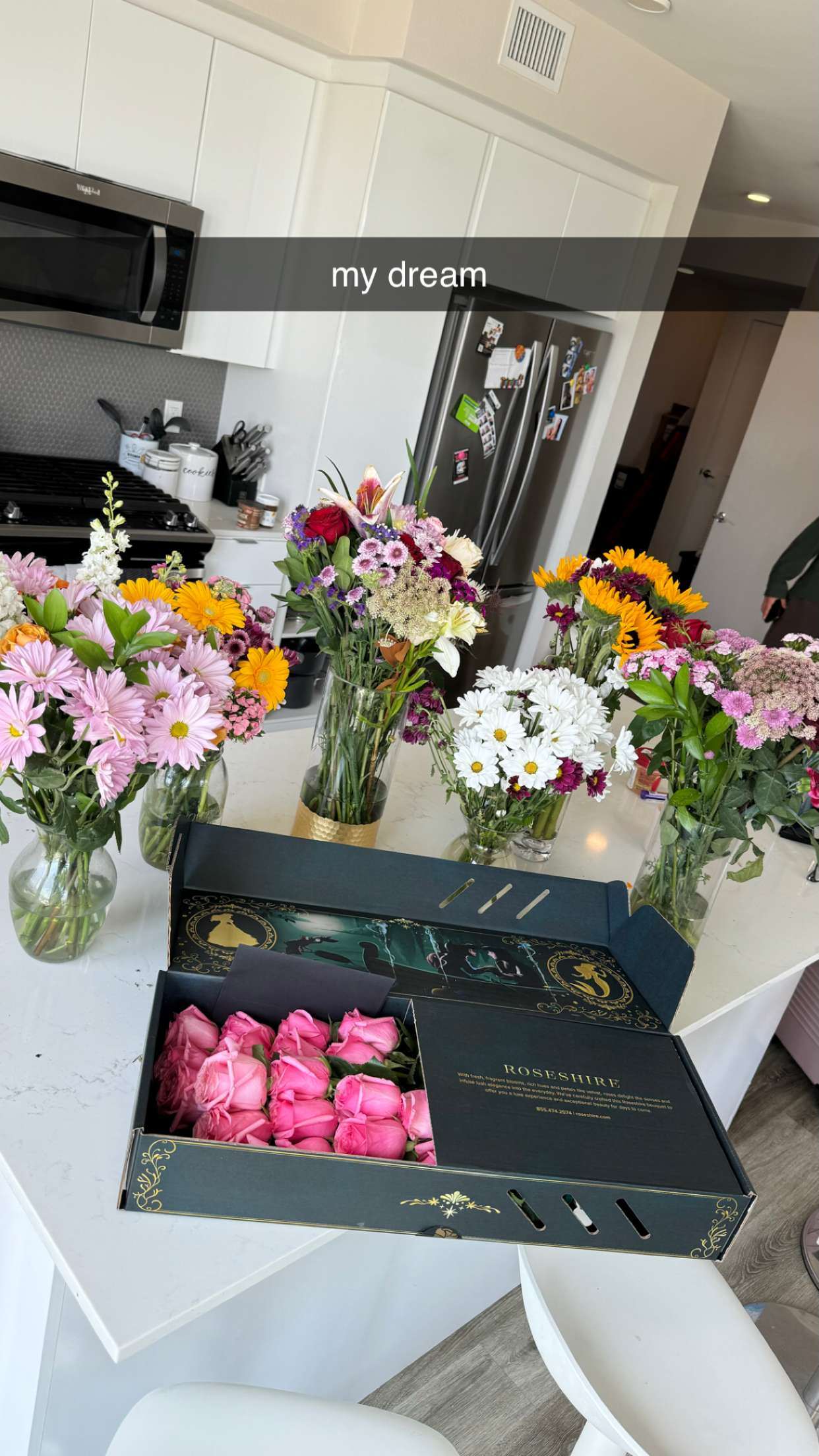 chloerosenbaum snapchat image archive image