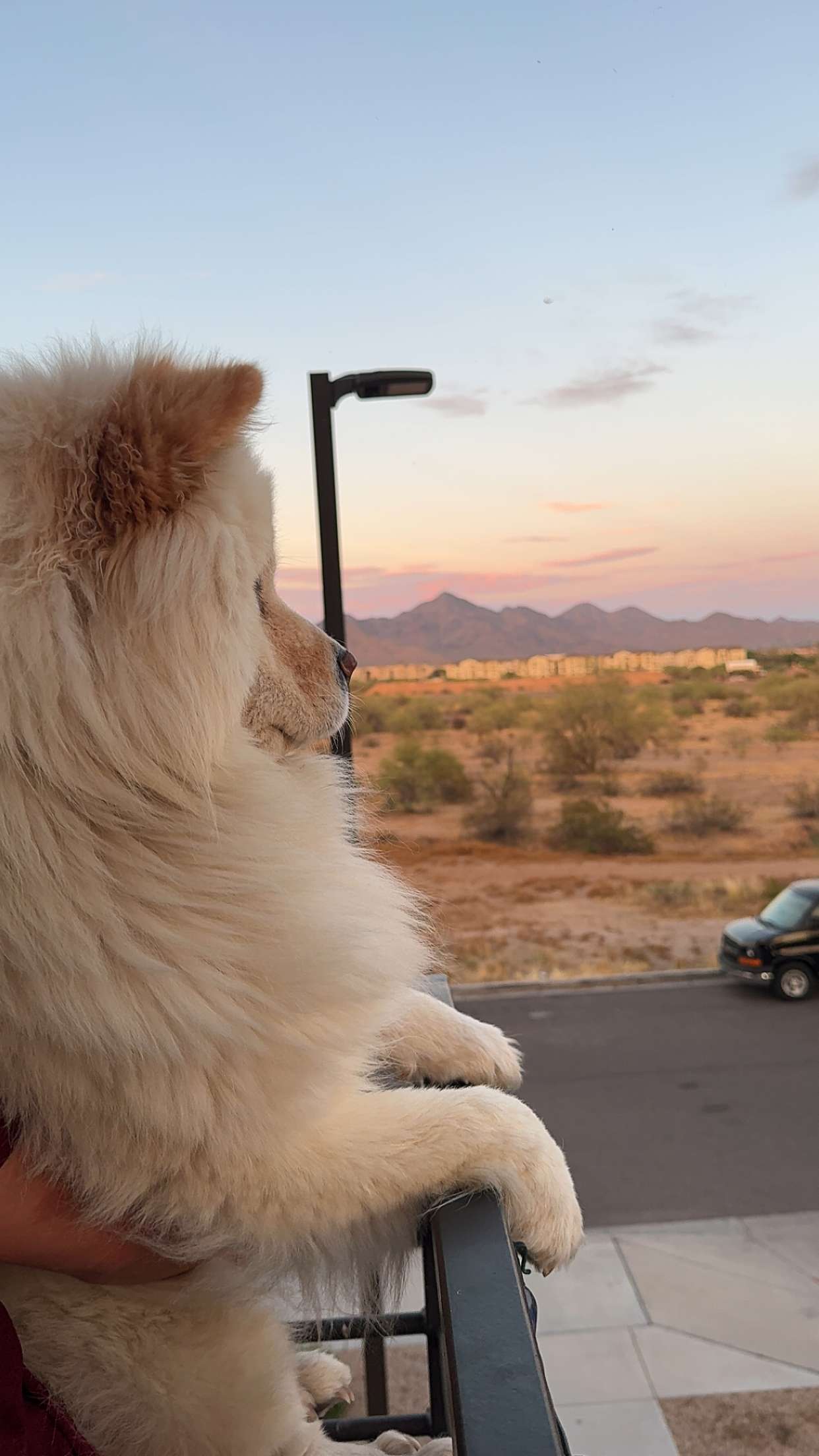 chloerosenbaum snapchat image archive image