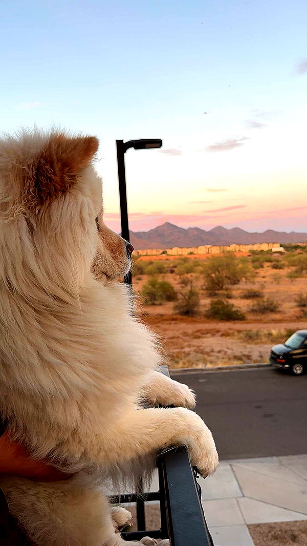 chloerosenbaum image ~ Altpins