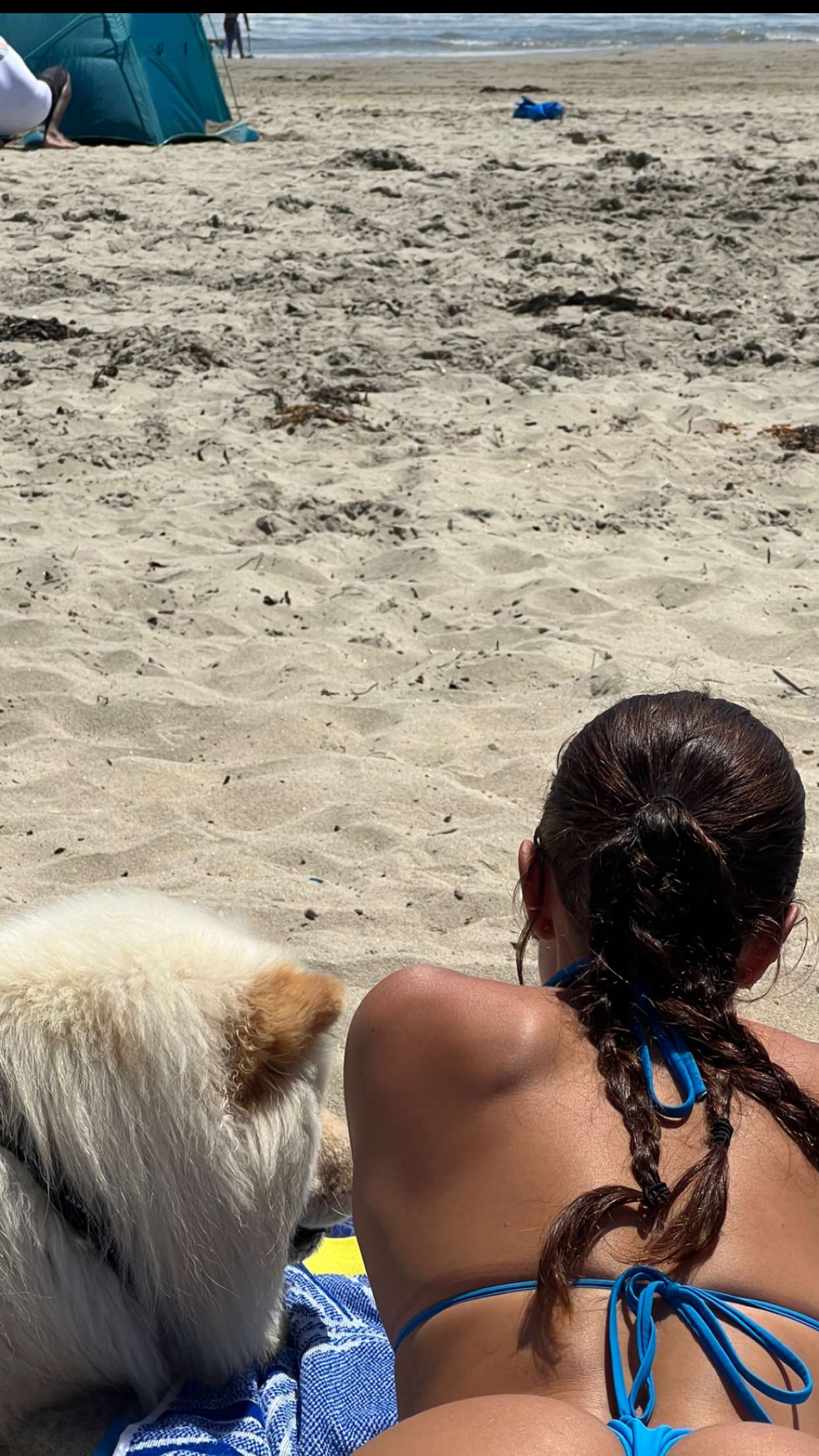 chloerosenbaum snapchat image archive image