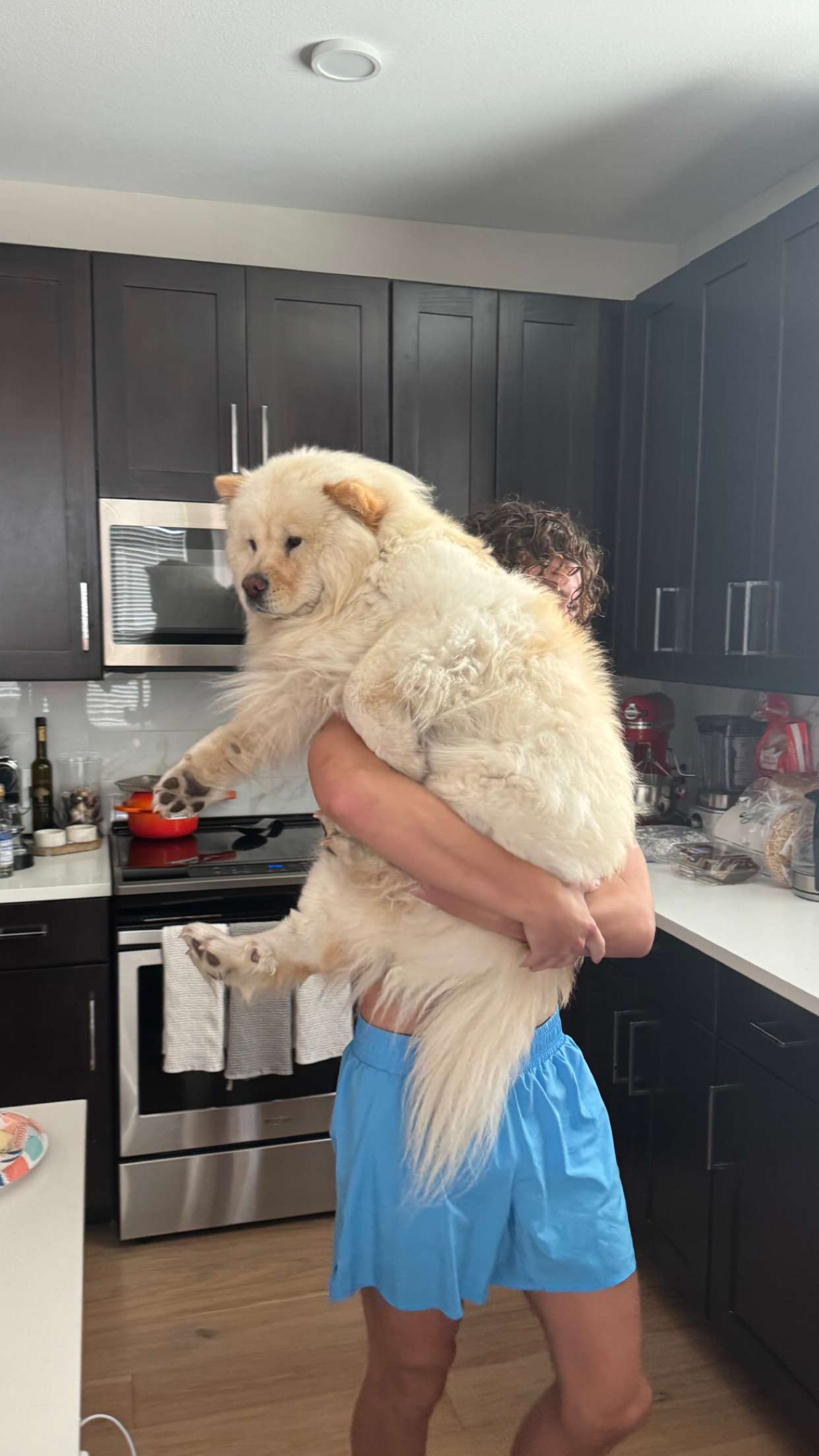 chloerosenbaum snapchat image archive image