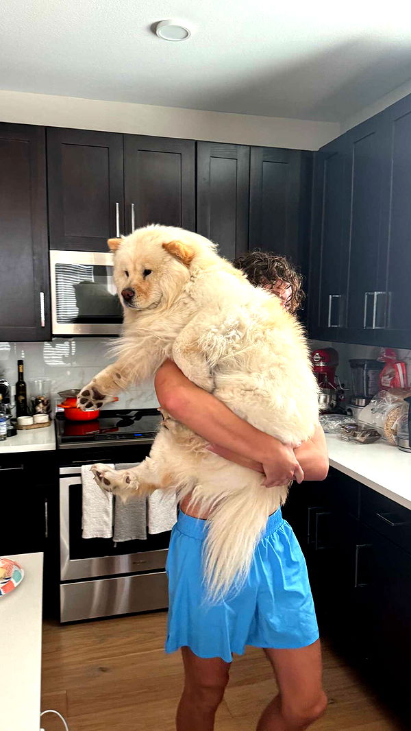 chloerosenbaum image ~ Altpins