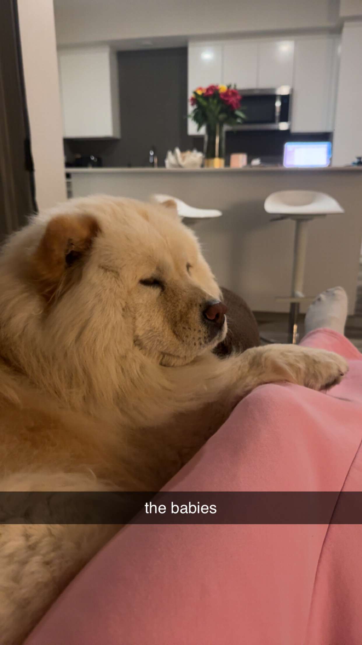 chloerosenbaum snapchat image archive image