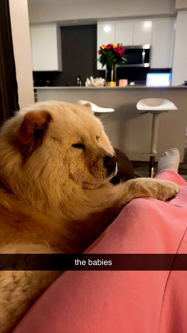 chloerosenbaum image ~ Altpins