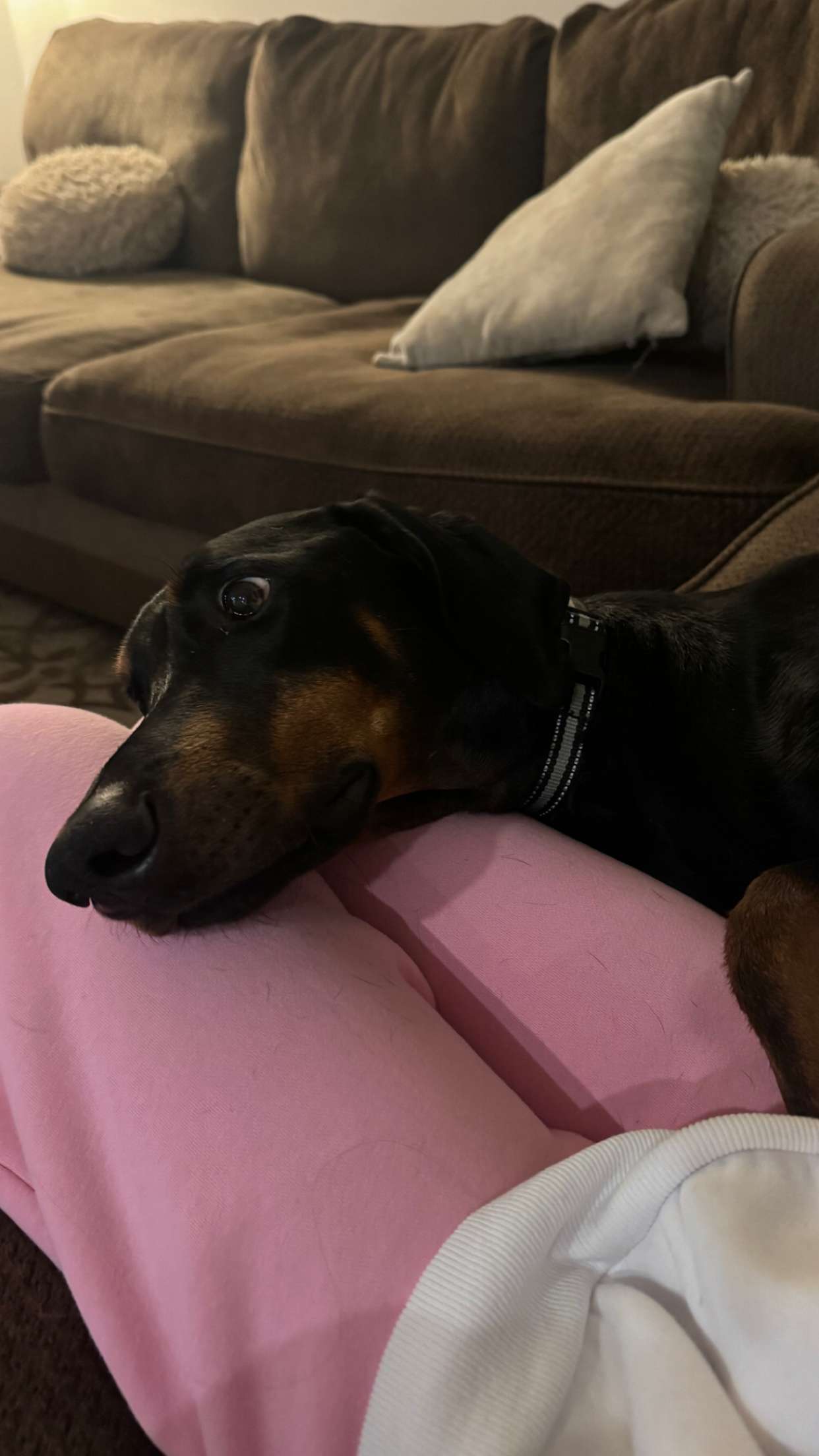 chloerosenbaum snapchat image archive image