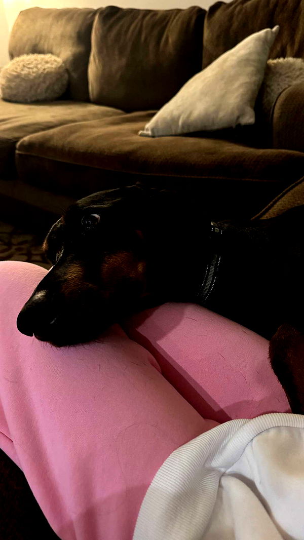 chloerosenbaum image ~ Altpins