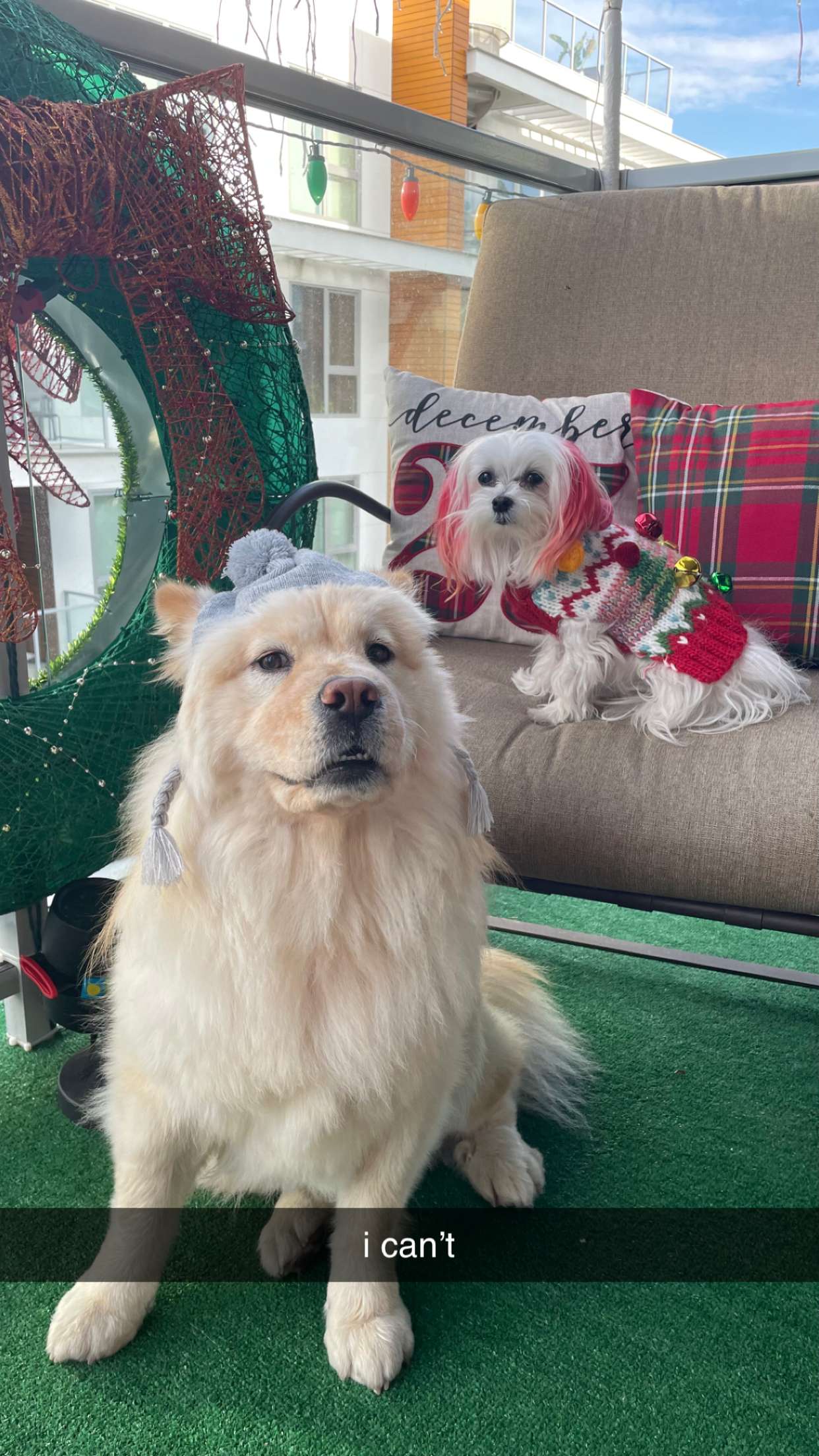 chloerosenbaum snapchat image archive image