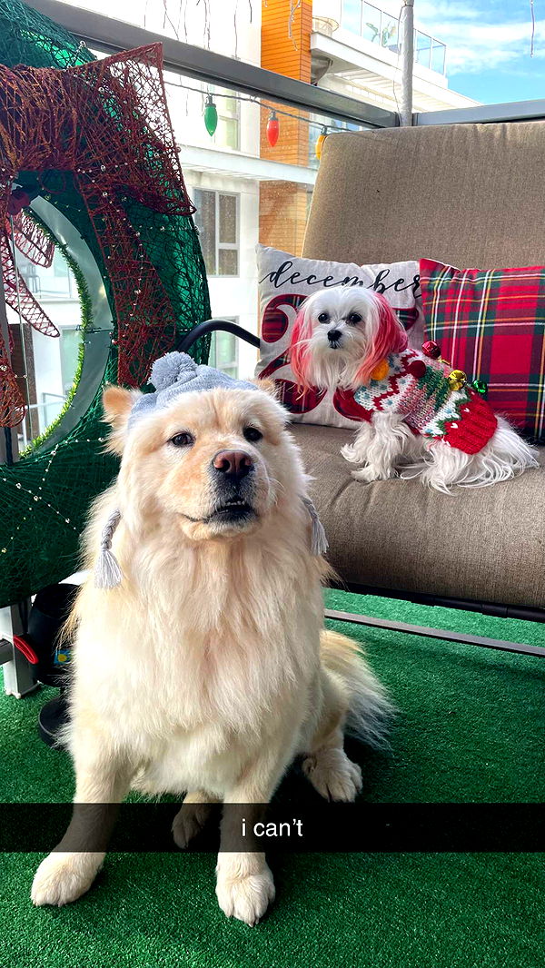 chloerosenbaum image ~ Altpins