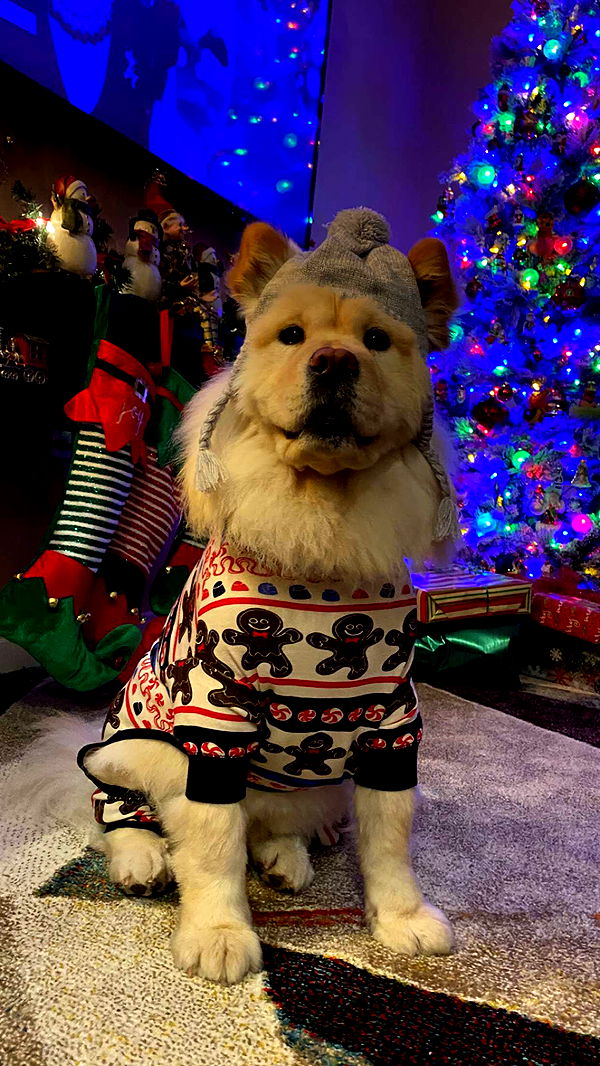 chloerosenbaum image ~ Altpins