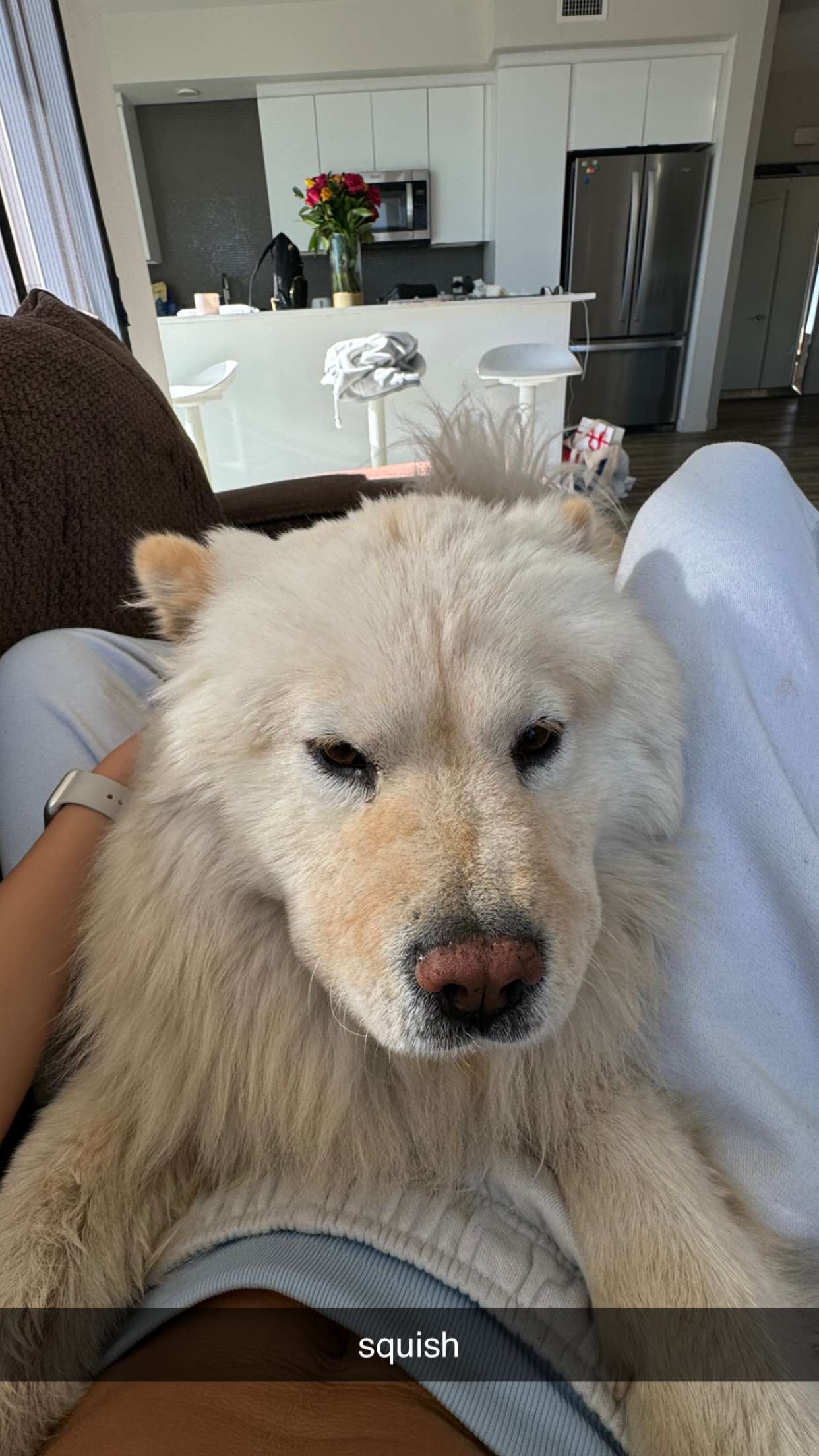 chloerosenbaum snapchat image archive image