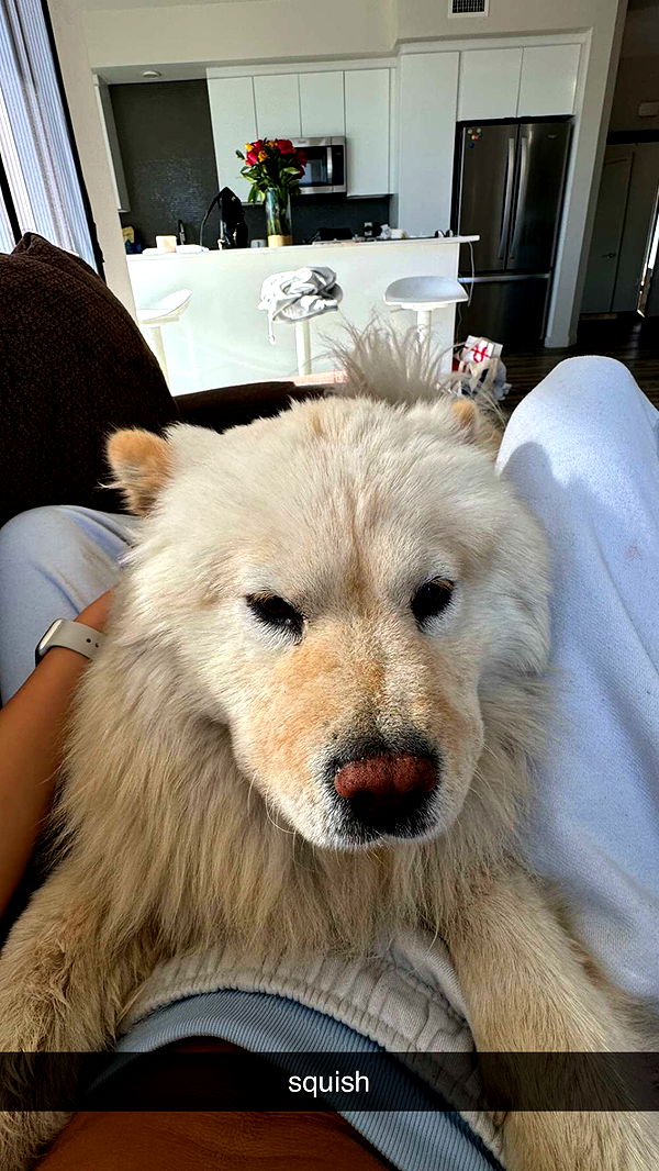 chloerosenbaum image ~ Altpins