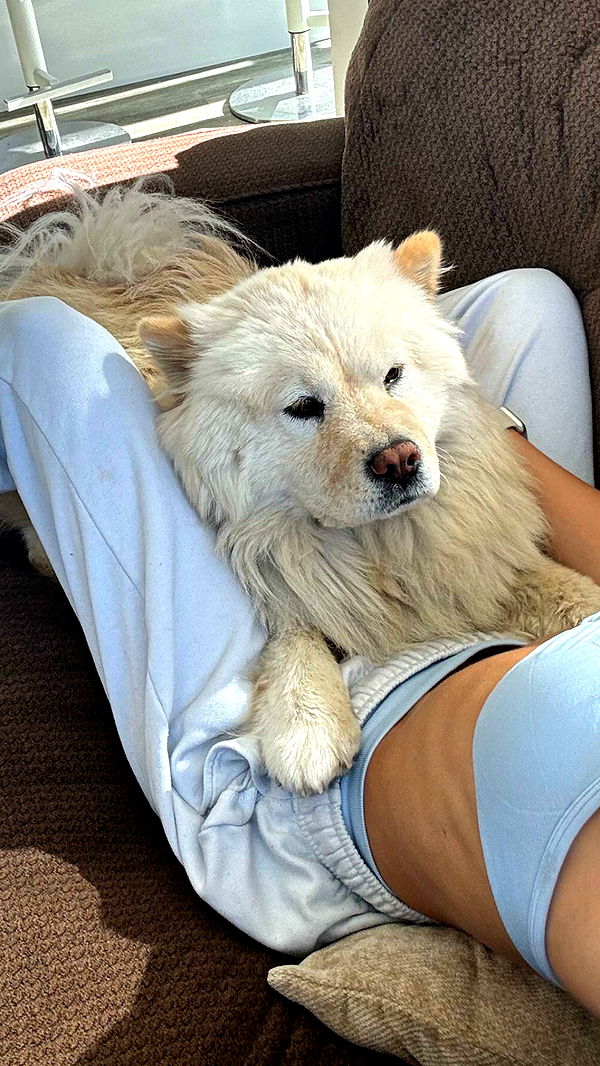 chloerosenbaum image ~ Altpins