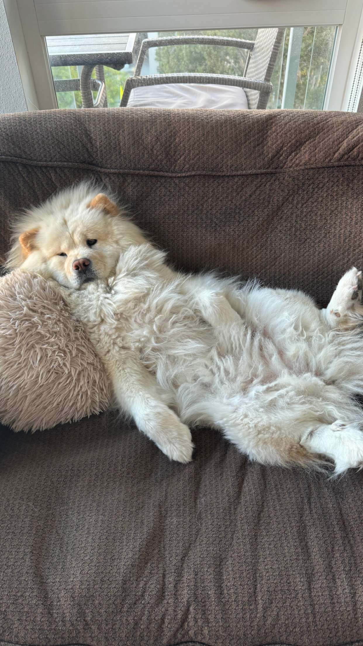 chloerosenbaum snapchat image archive image