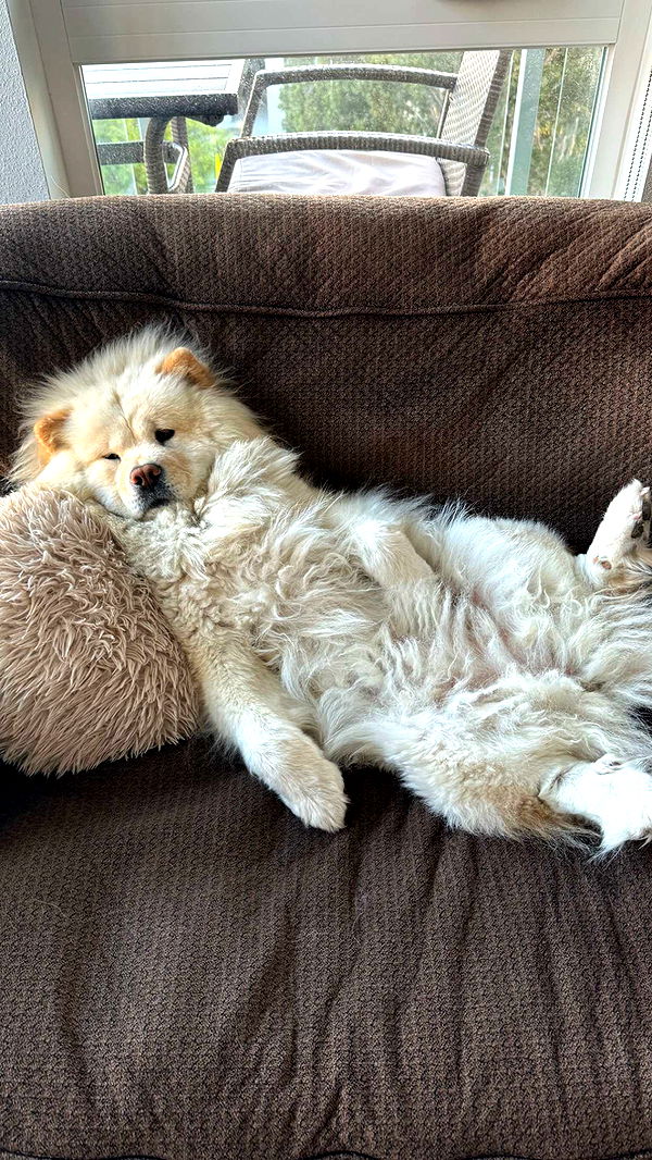 chloerosenbaum image ~ Altpins