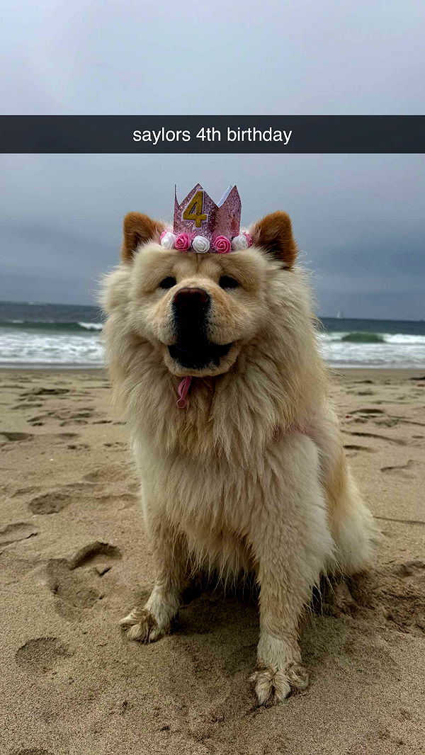 chloerosenbaum image ~ Altpins