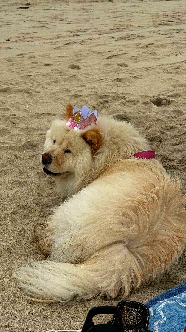 chloerosenbaum image ~ Altpins