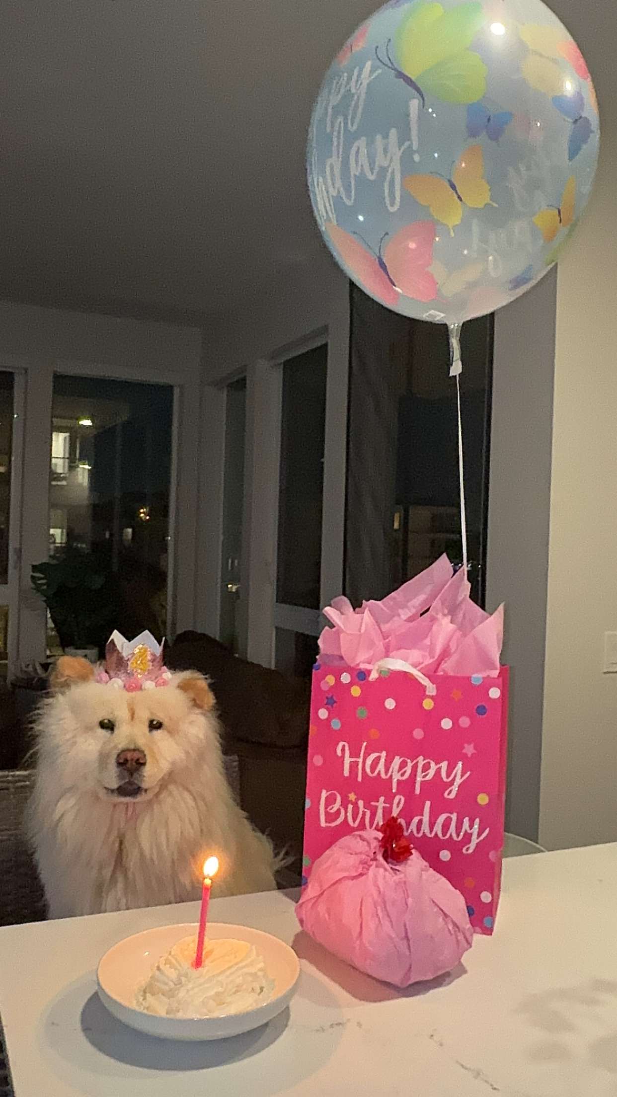 chloerosenbaum snapchat image archive image