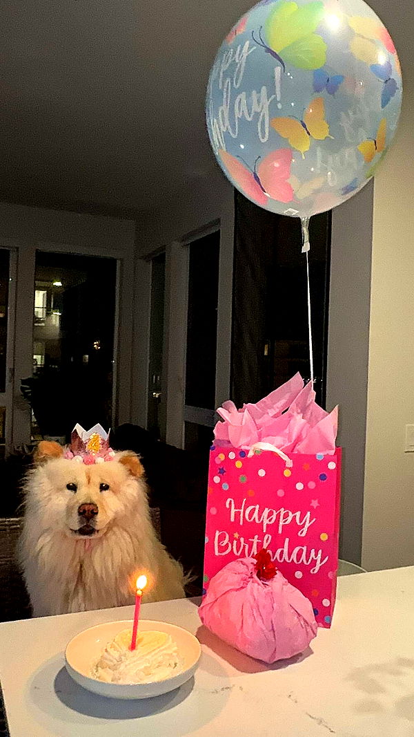 chloerosenbaum image ~ Altpins