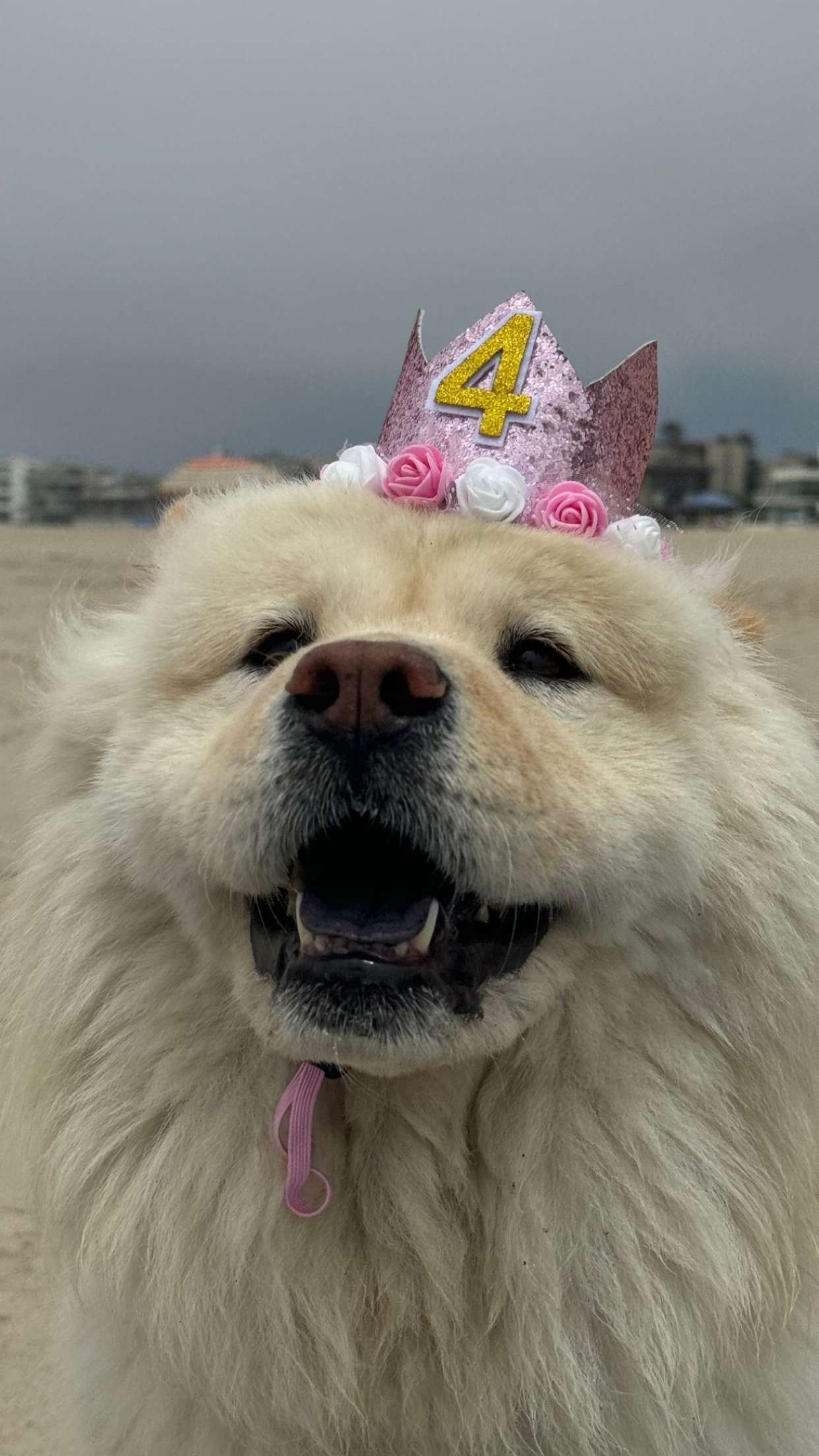 chloerosenbaum snapchat image archive image