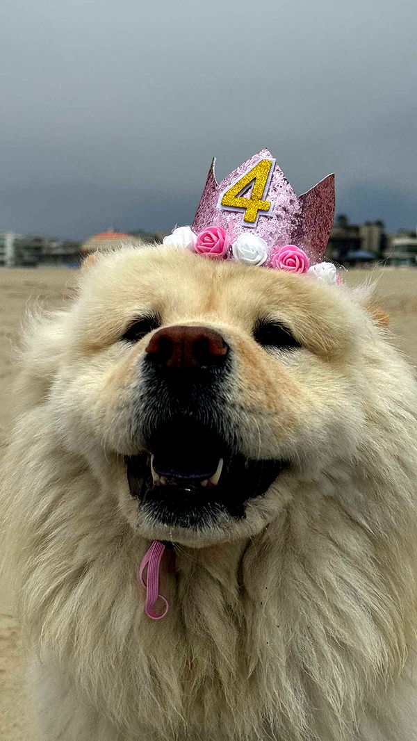 chloerosenbaum image ~ Altpins