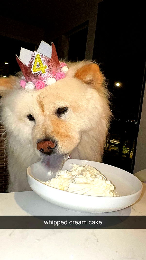 chloerosenbaum image ~ Altpins