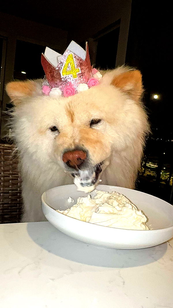 chloerosenbaum image ~ Altpins