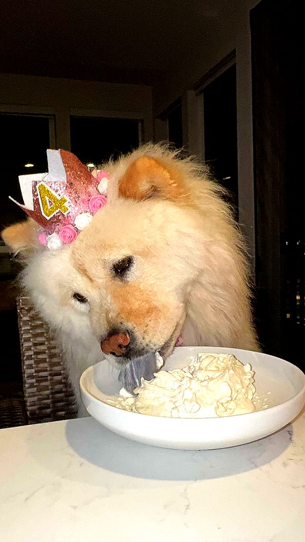 chloerosenbaum image ~ Altpins