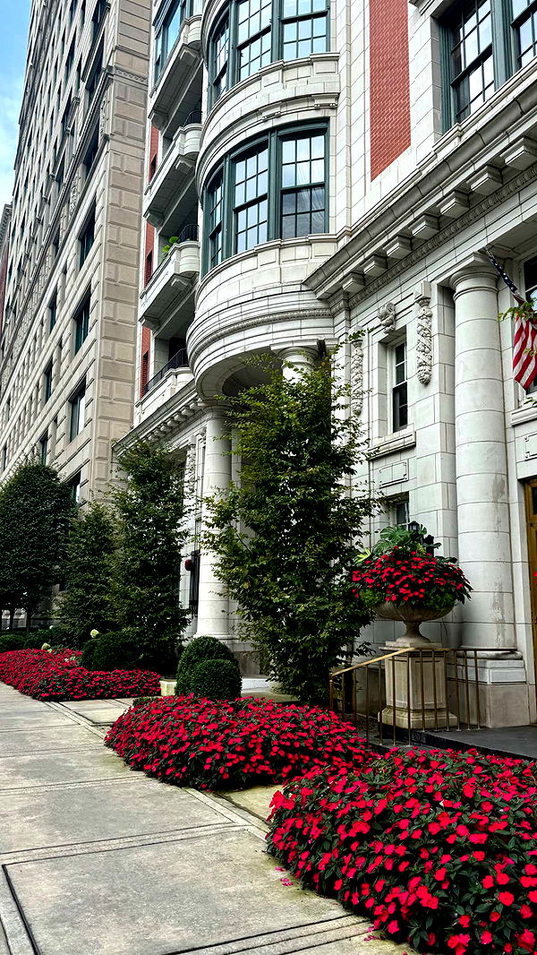 chloerosenbaum image ~ Altpins