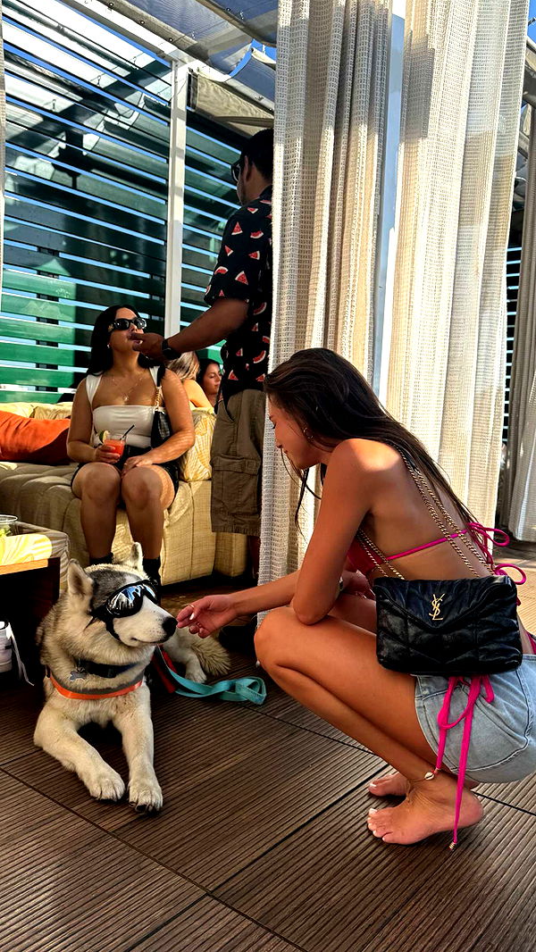 chloerosenbaum image ~ Altpins