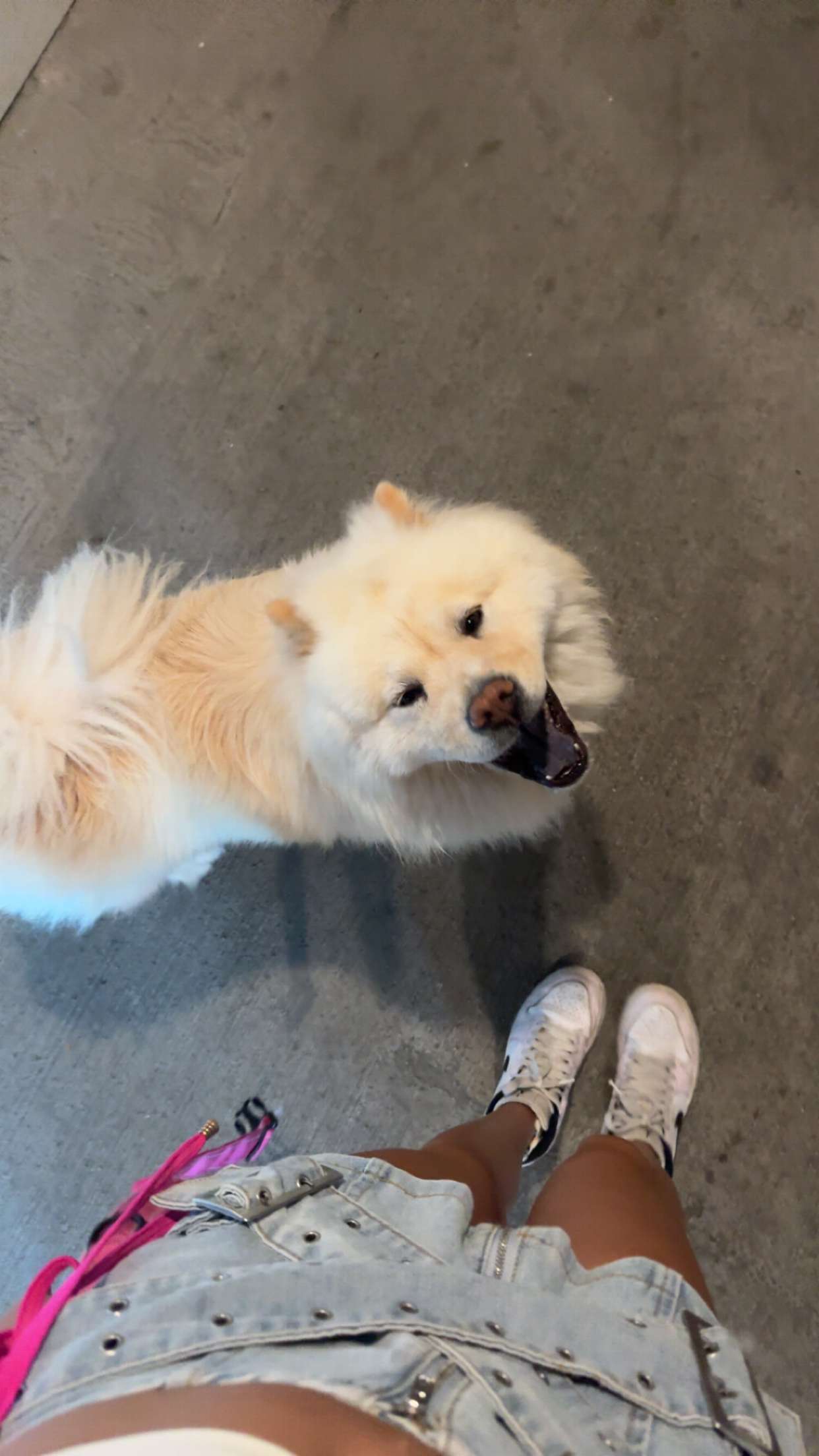 chloerosenbaum snapchat image archive image