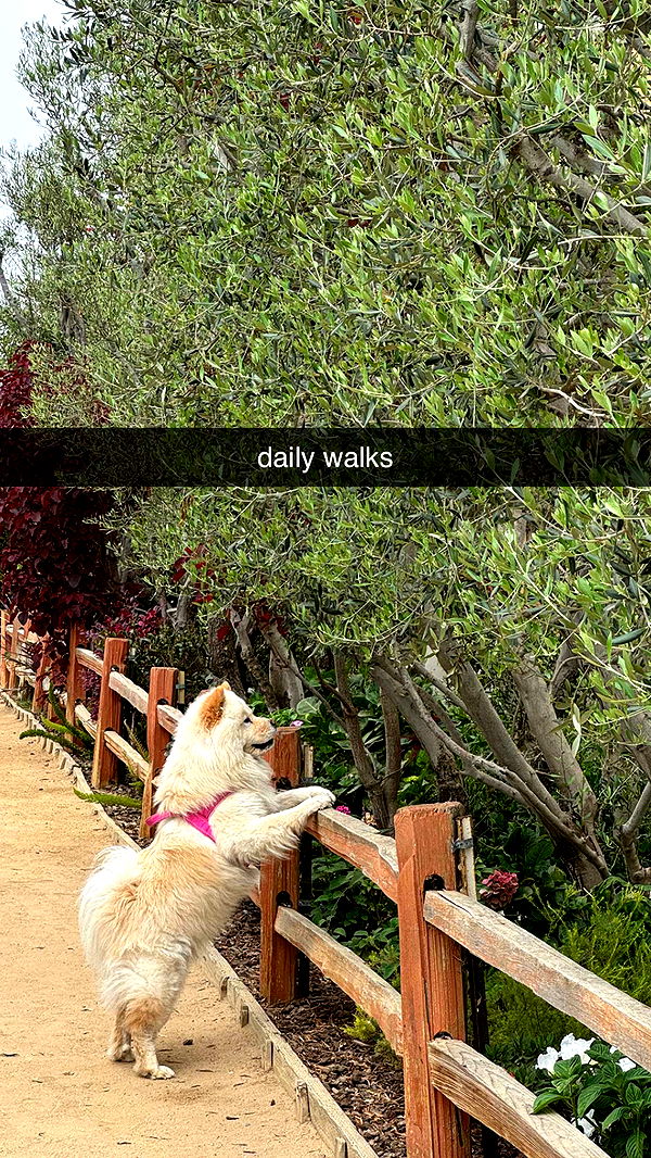 chloerosenbaum image ~ Altpins