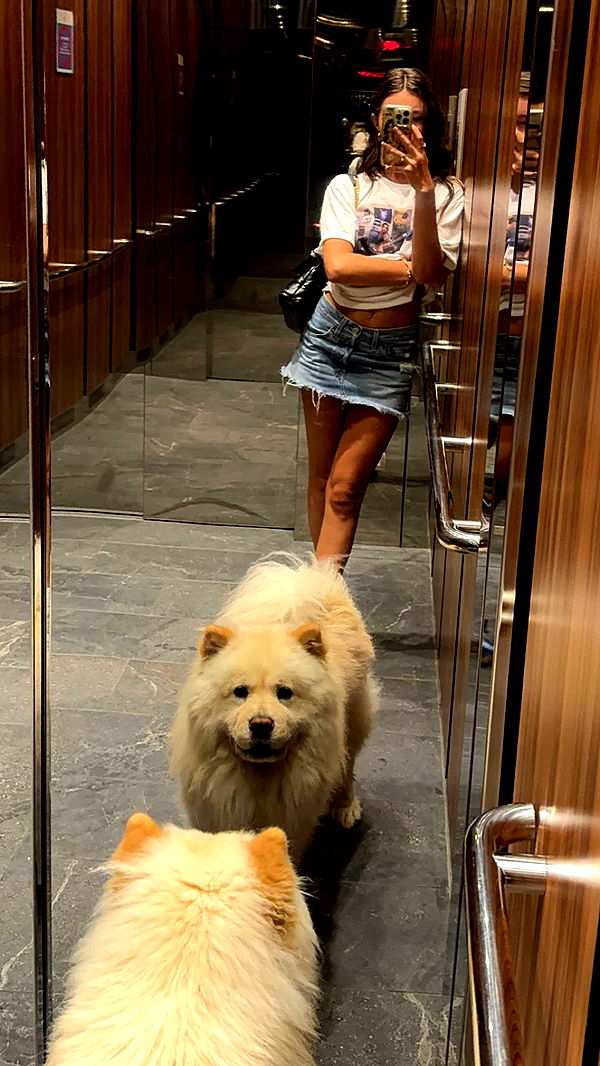 chloerosenbaum image ~ Altpins