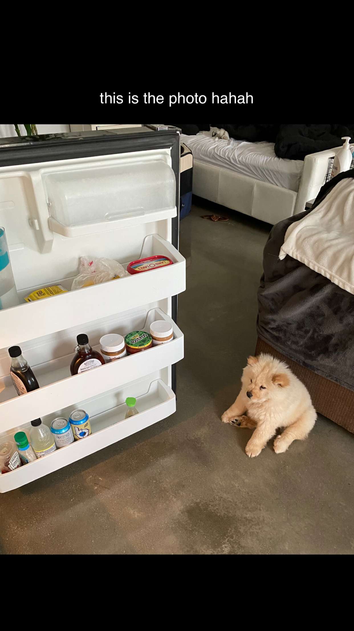 chloerosenbaum snapchat image archive image