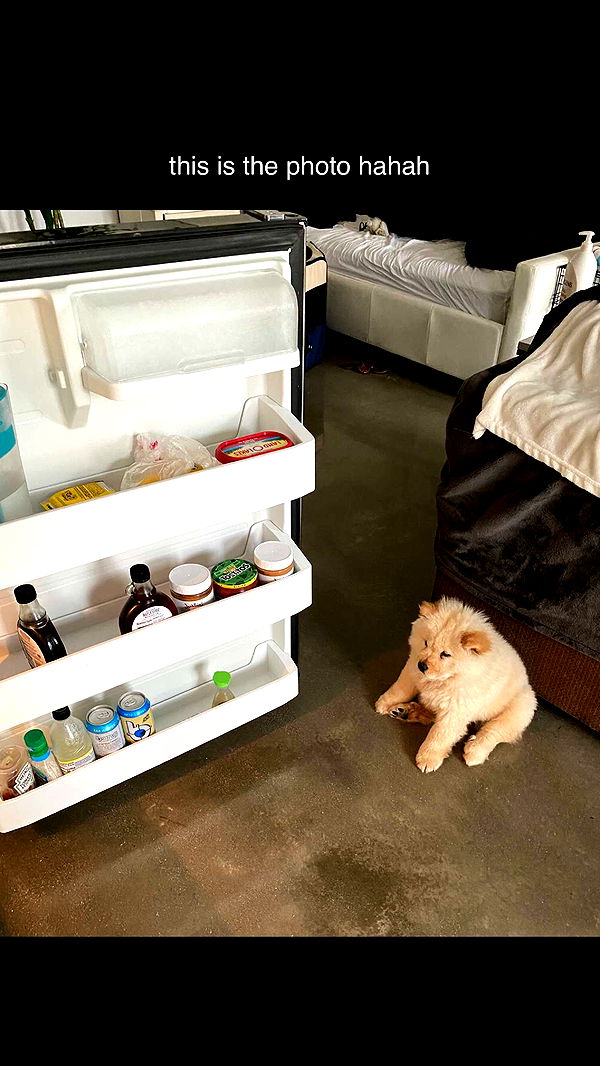 chloerosenbaum image ~ Altpins