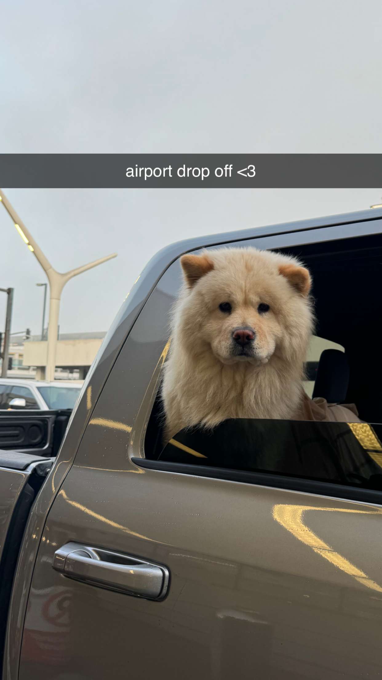 chloerosenbaum snapchat image archive image