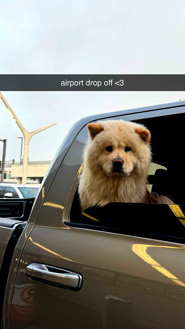 chloerosenbaum image ~ Altpins