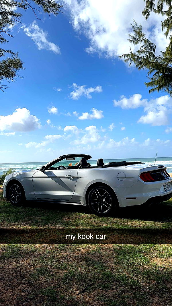 chloerosenbaum image ~ Altpins