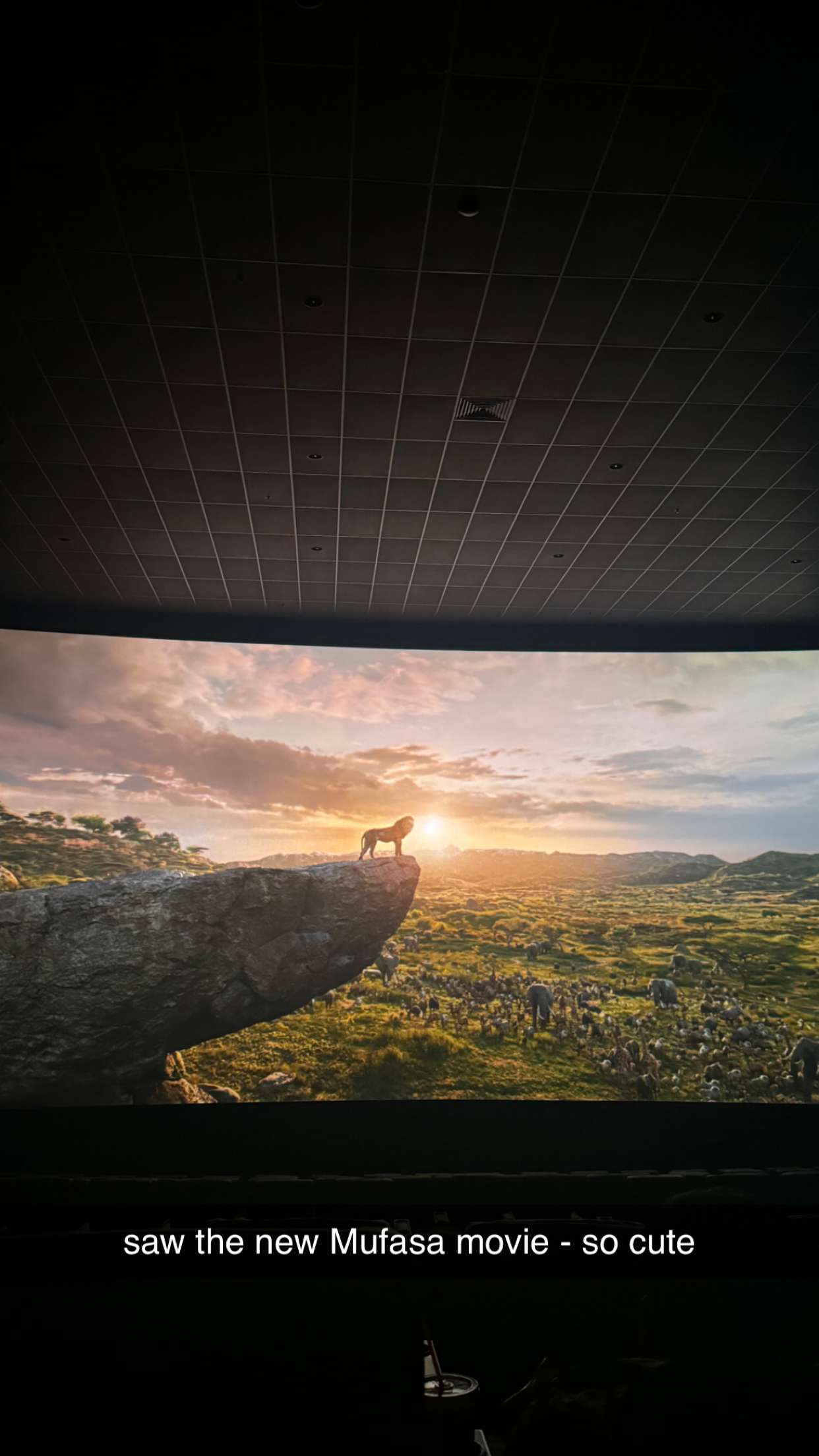 chloerosenbaum snapchat image archive image