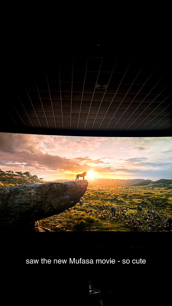 chloerosenbaum image ~ Altpins