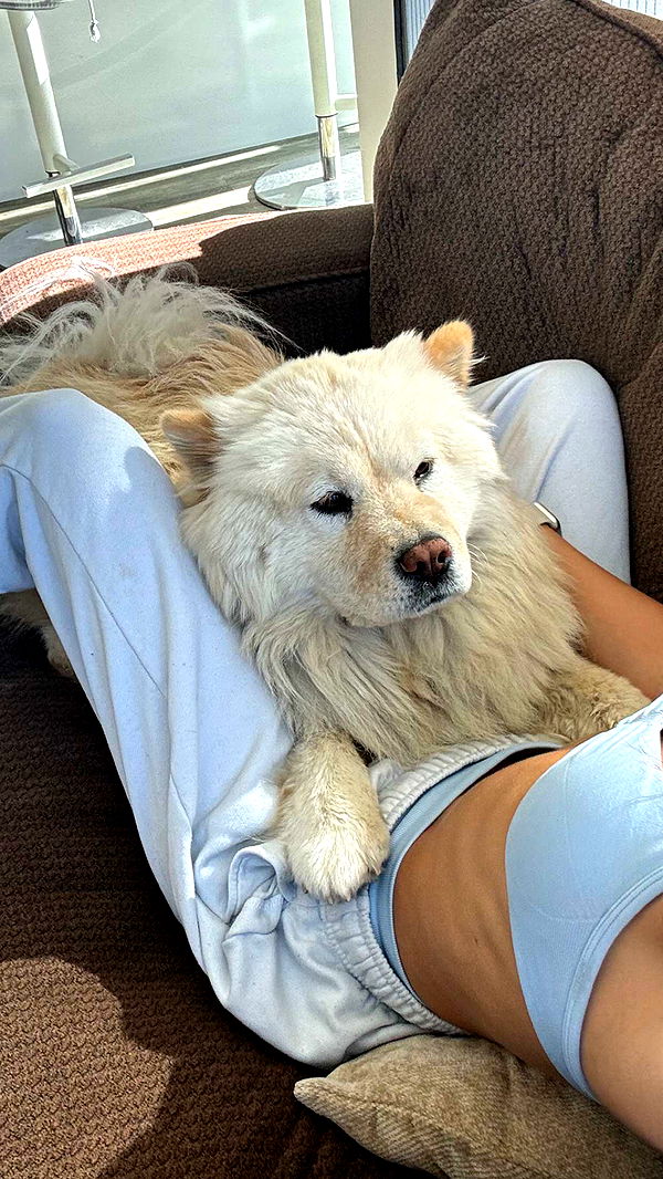 chloerosenbaum image ~ Altpins