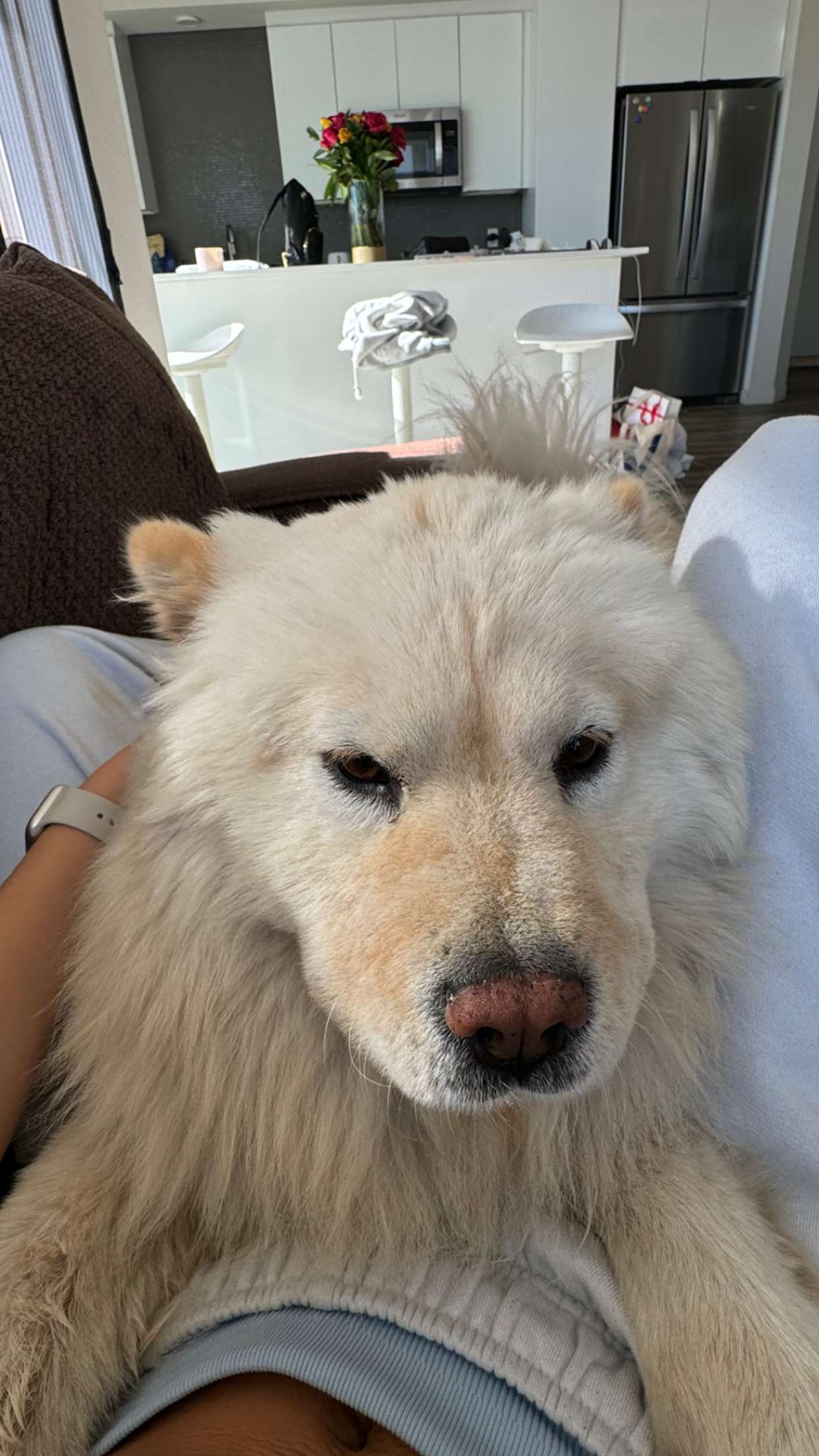 chloerosenbaum snapchat image archive image