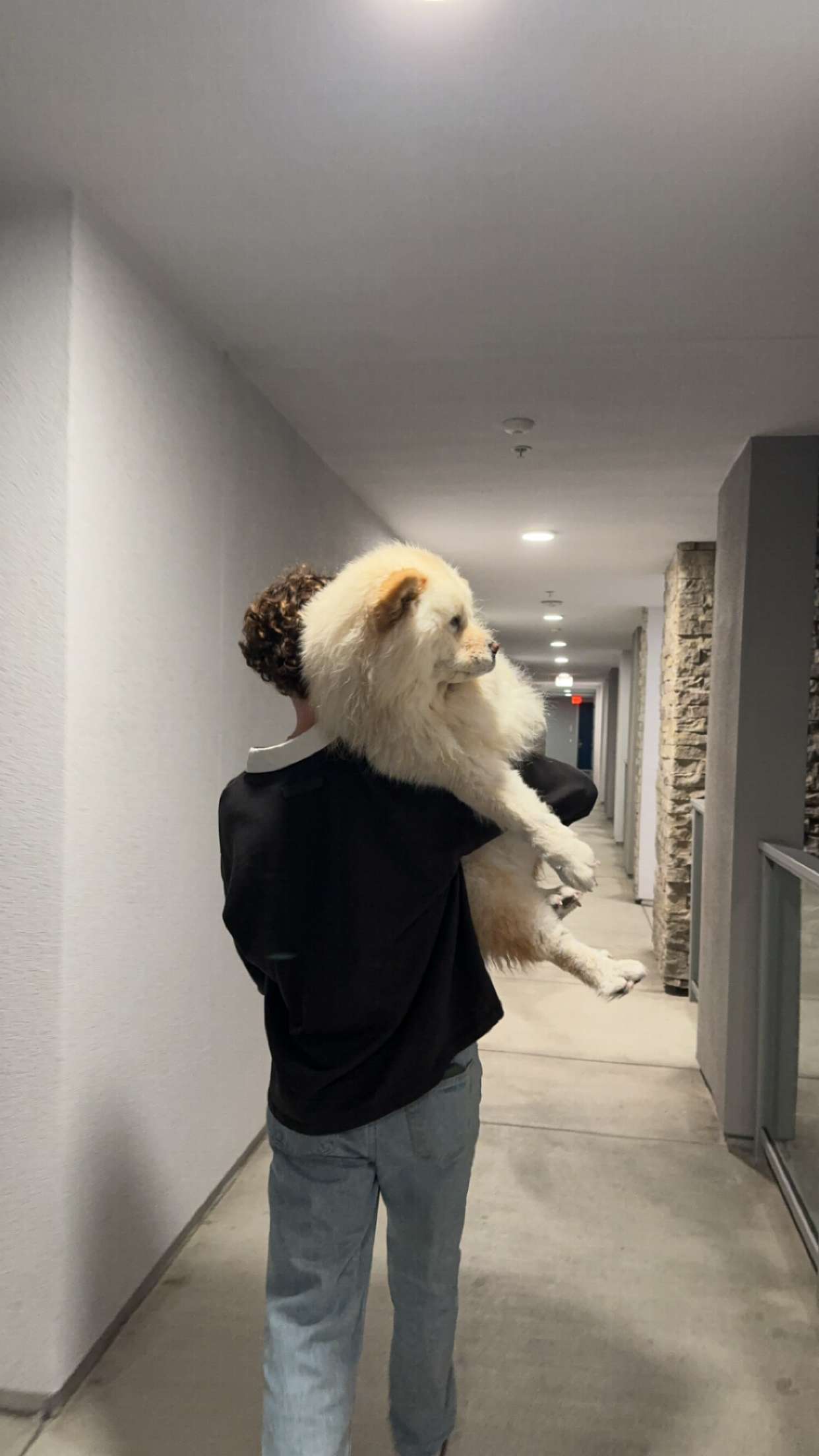 chloerosenbaum snapchat image archive image