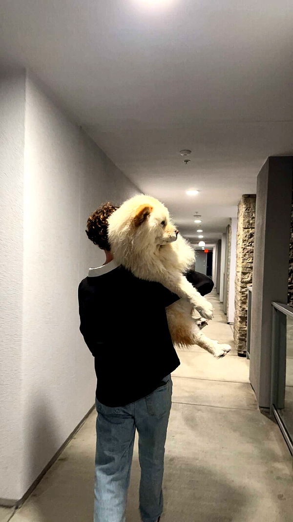 chloerosenbaum image ~ Altpins