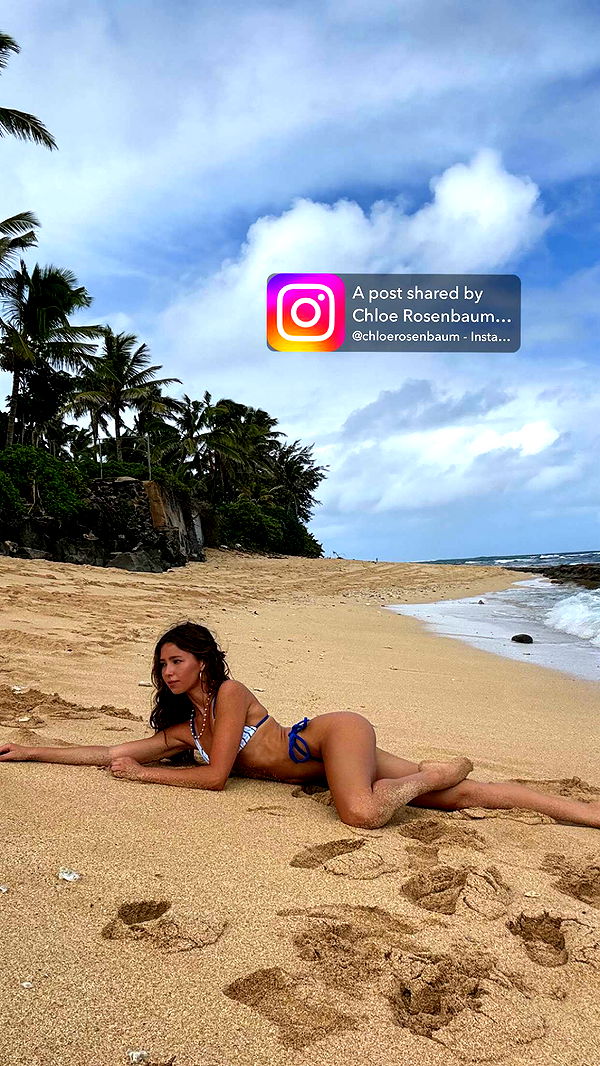 chloerosenbaum image ~ Altpins