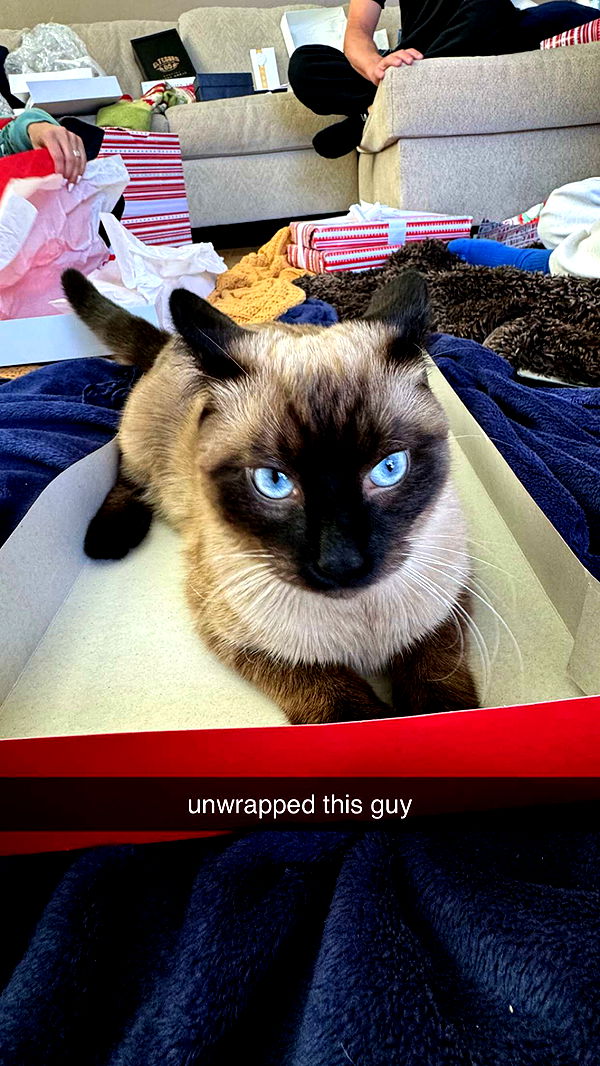 chloerosenbaum image ~ Altpins