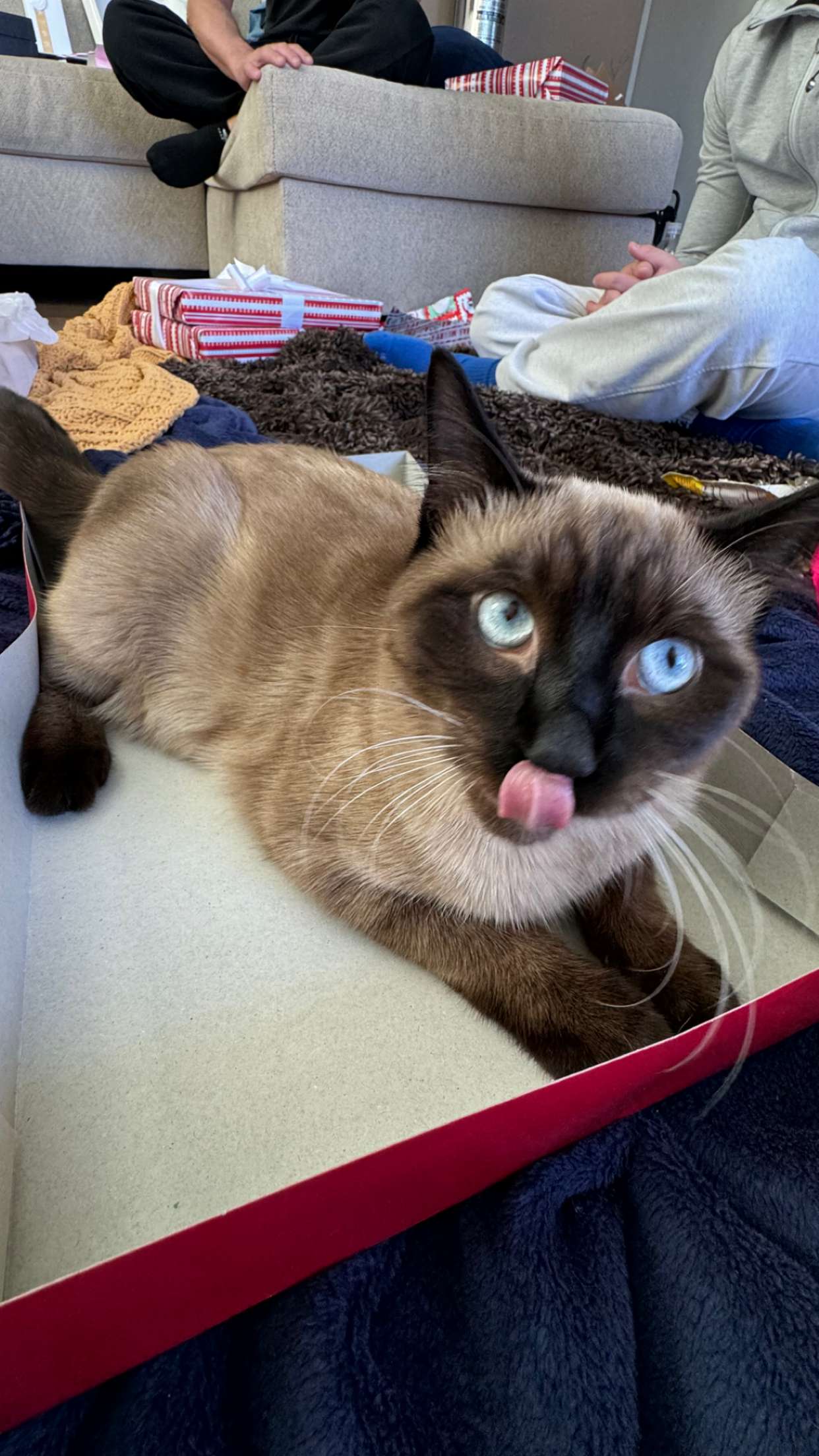 chloerosenbaum snapchat image archive image