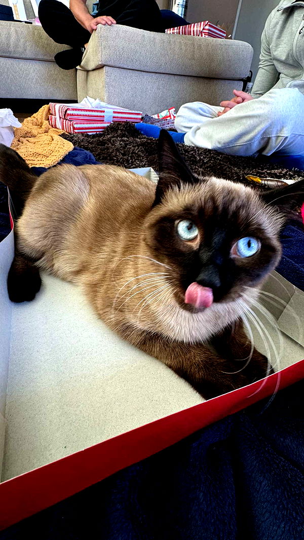 chloerosenbaum image ~ Altpins