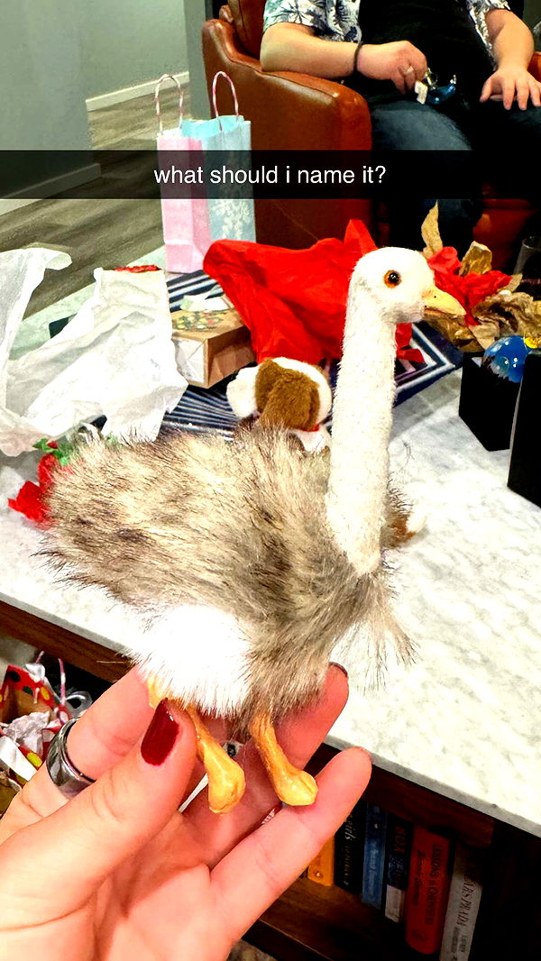 chloerosenbaum image ~ Altpins