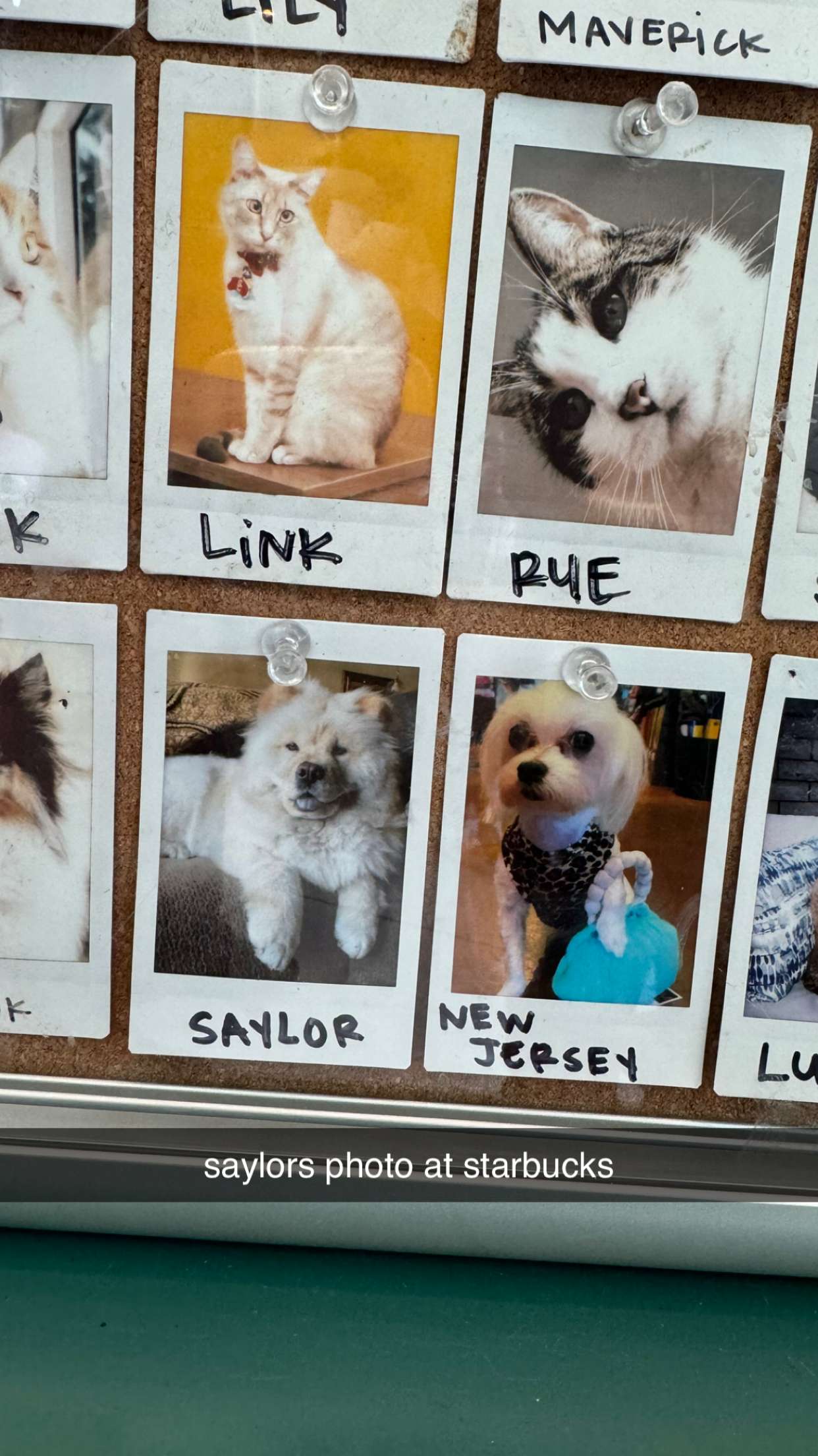 chloerosenbaum snapchat image archive image