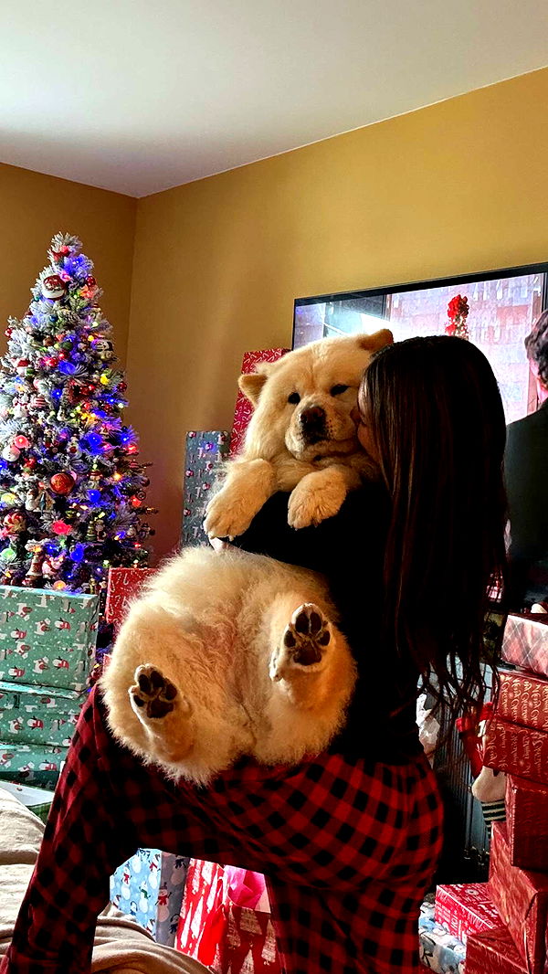 chloerosenbaum image ~ Altpins